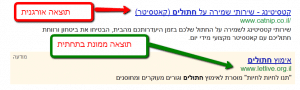 תוצאות ממומנות בתחתית העמוד